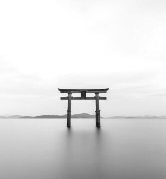 pagoda in gray scale shot