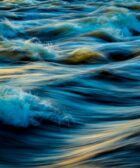 macro photography of water waves