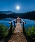 brown wooden dock