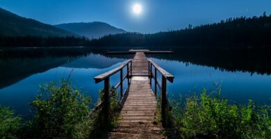 brown wooden dock