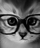 gato gafas ego