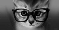 gato gafas ego