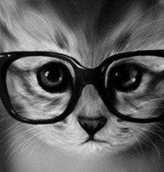 gato gafas ego