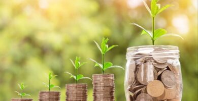 educaci&oacute;n financiera