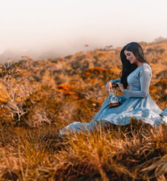 cold snow dawn landscape